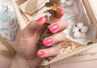 Female hand with bright pink manicure holds a branch of golden eucalyptus