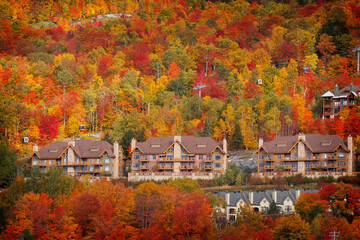 Autumn in Quebec is something that you definitely need to experience at least once in your life.