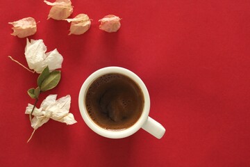 Cup of coffee on color background