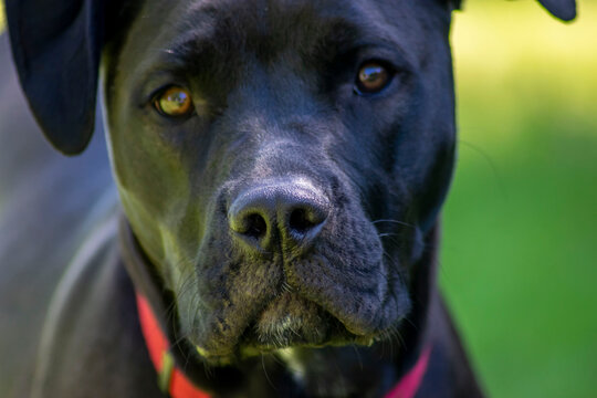 Labmix Close Up.