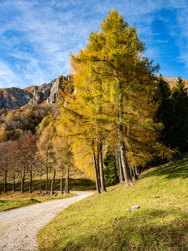 Autumn colors in the italian alps