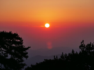 Fototapeta premium Sunset