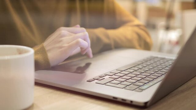 Female hands typing in laptop, cup of coffee on the table. Young woman working in a cafe indoors lens flare, no face, gimbal shot of hands and keyboard