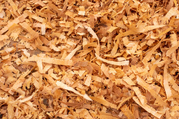 Beautiful background from sawdust. Sawdust texture for design.