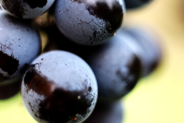 Red Grapes - extreme close up | Macro photography