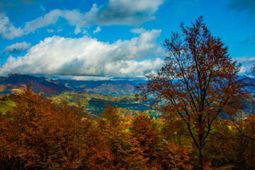 foliage and mountains