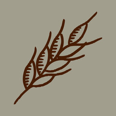 isolated vector icon of an ear of wheat  in free hand draw style