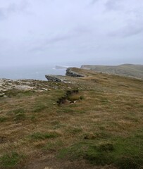 Rough and windy coastline landscape on island, Falkland Islands