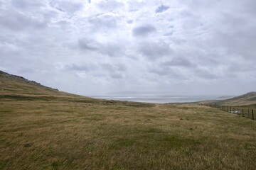 Rough and windy grass landscape on island, Falkland Islands