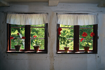 Flowers in pots on cottage house window. Spring in the village.