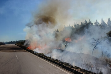 Road on fire - Wildfire on the shoulder of a brazilian highway