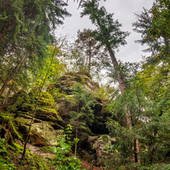 Elbsandsteingebirge close to Dresden with rocks and forest landscape