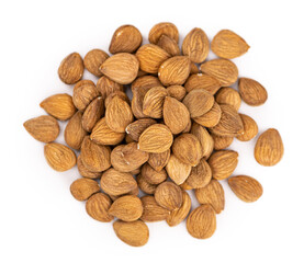 Portion of Apricot Kernels isolated on white (close up shot)