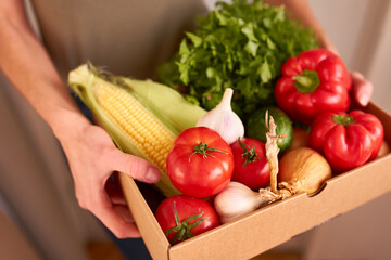 A delivery box filled with fresh organic vegetables and fruits