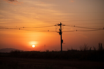 Por do sol com rede de energia.