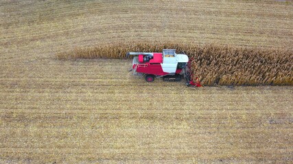 Maishäcksler bei der Ernte von Mais auf einem Acker aus der Vogelperspektive