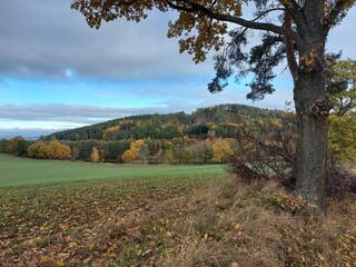 Naklejka premium landscape with green grass and sky Šumava