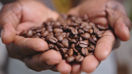 Close up, black man hands holding coffee beans. High quality photo