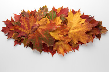 Heap pile of beautiful colored autumn maple leaves isolated on white background. Autumn, fall, thanksgiving day, nature concept. Flat lay, top view, copy space..