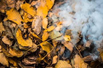 Burning. Autumn bonfire with smoke. Yellow leaves in the smoke.