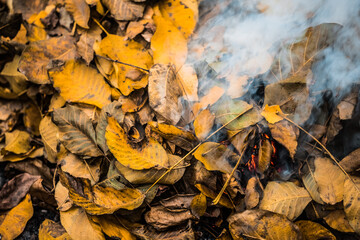 Burning. Autumn bonfire with smoke. Yellow leaves in the smoke.