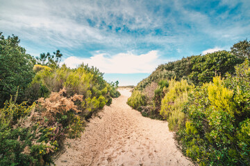 Les Landes Dunes to the Beach 