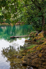 view on an green lake in forest