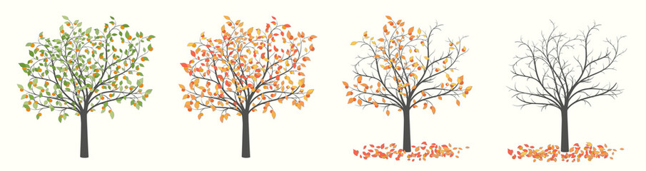 Drawing of a tree with leaves and red fruit in four versions