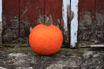 Pumpkin on a wooden background