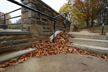 Leafs at the park stairs