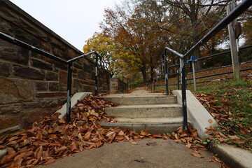 Stairs in the park