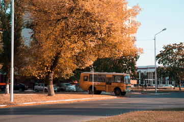 Obraz premium bus stop in the city