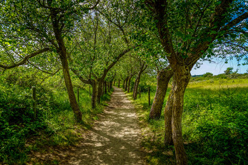 Au Bout du Chemin