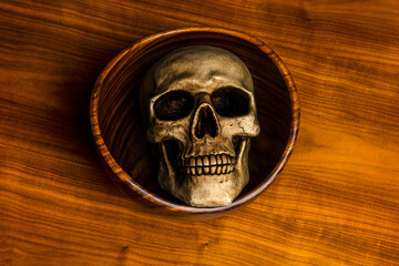 Human skull in a wooden bowl on a table