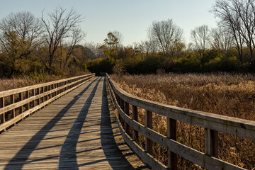 Wooden Bridge at Mallard Lake, Hanover Park IL October 31, 2020