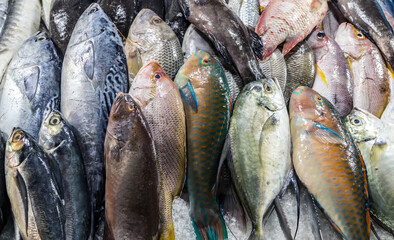 Fresh catch raw tropical fish Healthy diet eating concept.