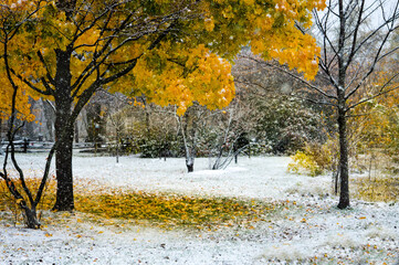 Automne et hiver première neige