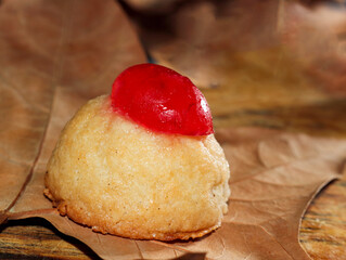 Yolk tissue in the forgeground