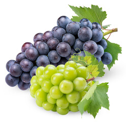 Sweet Green grape and Black grape  isolated on white background, Shine Muscat Grape and Kyoho Grape with leaves isolated on white With clipping path, 
