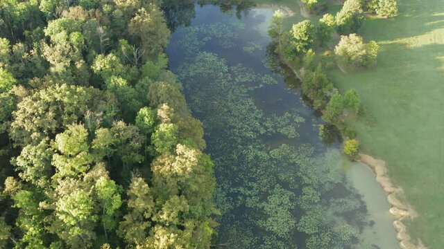 Aerial view of the floodplain on the Odra River with the forest and pastures, Croatia