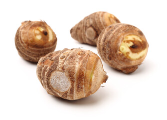 Taro on a white background