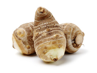 Taro on a white background