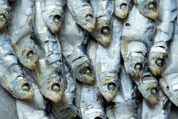 Obraz premium Rows of small dried sardines.