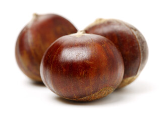 chestnuts isolated on white background