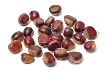 chestnut on a white background