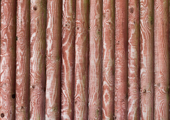 Background image. Old tree. Wooden wall. Vintage texture. Background for a postcard. natural picture.