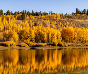 Fototapeta premium Beautiful autumn colors that let everyone know winter is soon to follow. 