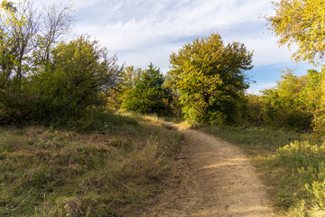 country road in autumn