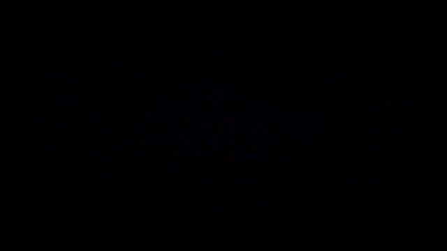 Scanline Retro Color Lines Feedback