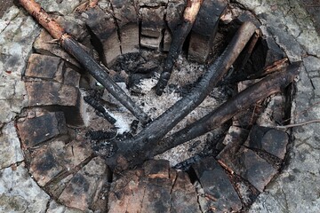 Old circular firepit made of heat resistant bricks, with some large burnt canes and pieces of wood inside. 